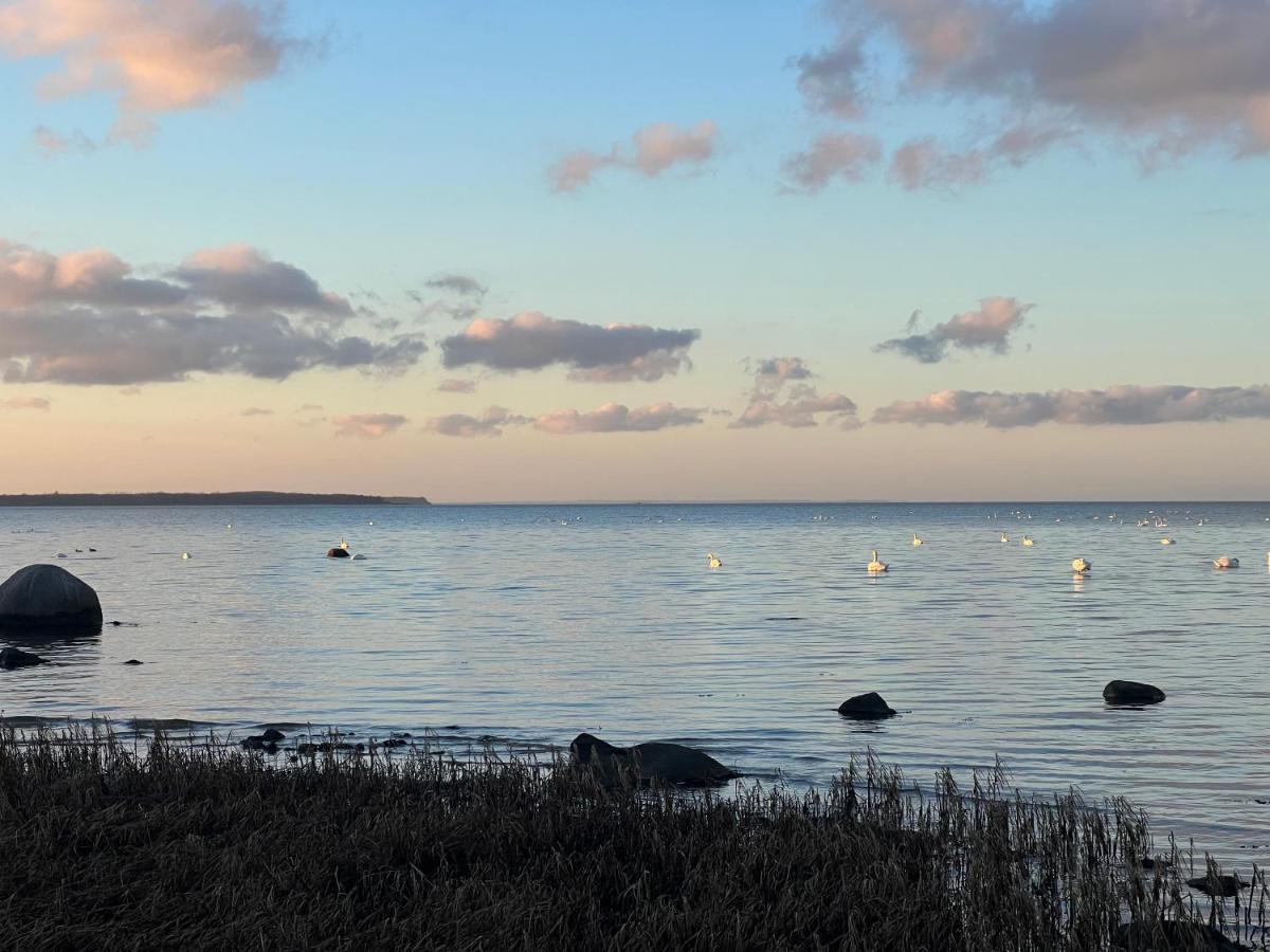 Reet und Meer Beckerwitz Hohenkirchen  Buitenkant foto