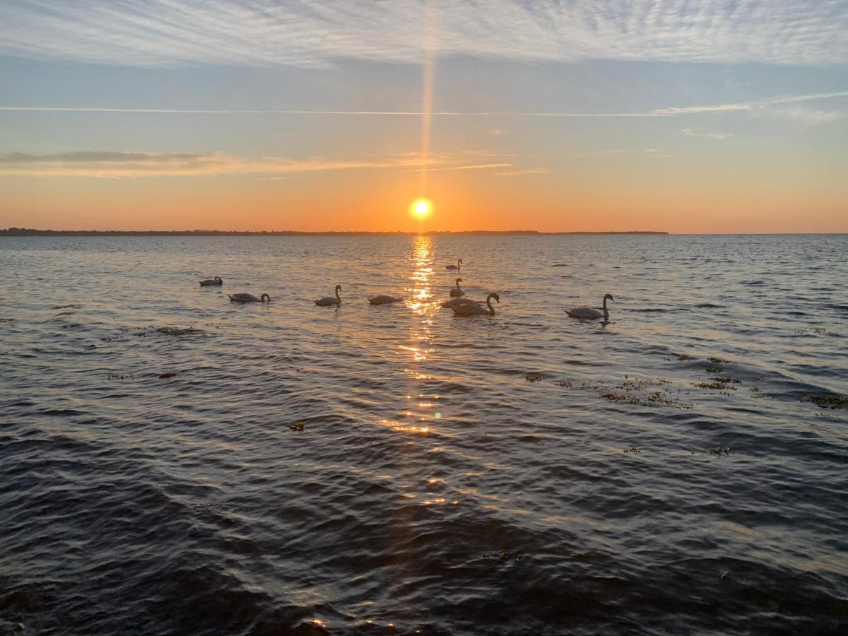 Reet und Meer Beckerwitz Hohenkirchen  Buitenkant foto