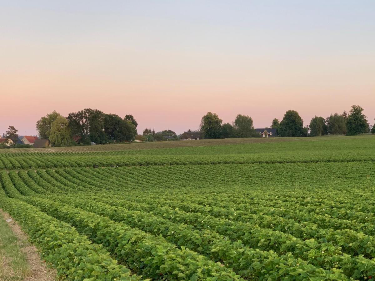 Reet und Meer Beckerwitz Hohenkirchen  Buitenkant foto