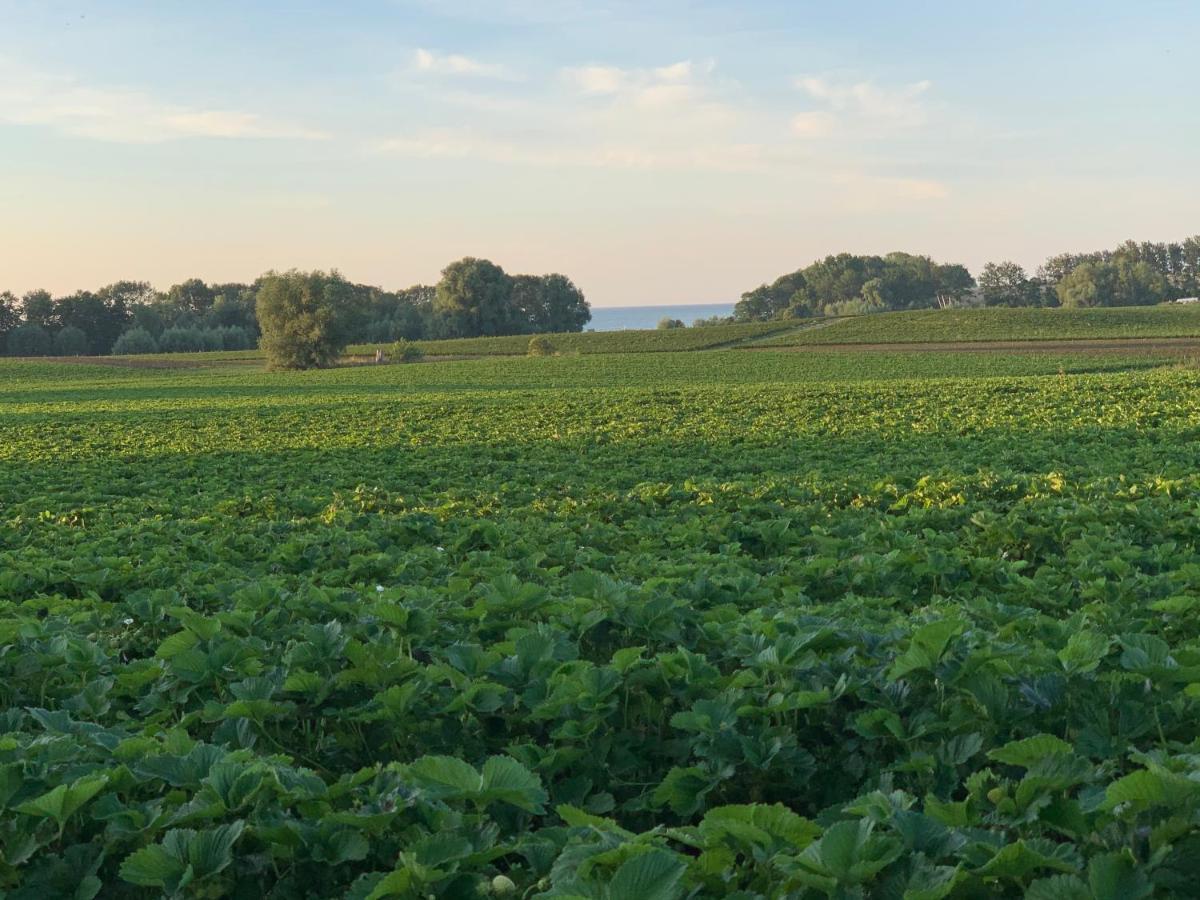 Reet und Meer Beckerwitz Hohenkirchen  Buitenkant foto