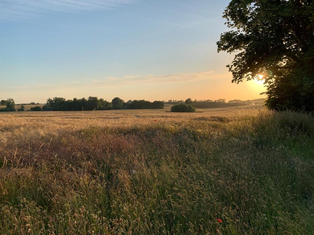Reet und Meer Beckerwitz Hohenkirchen  Buitenkant foto
