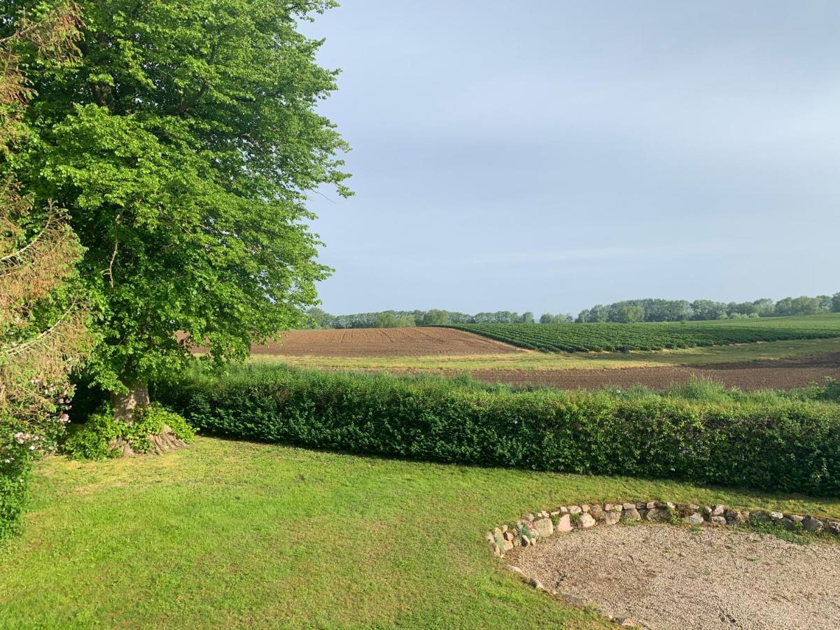 Reet und Meer Beckerwitz Hohenkirchen  Buitenkant foto